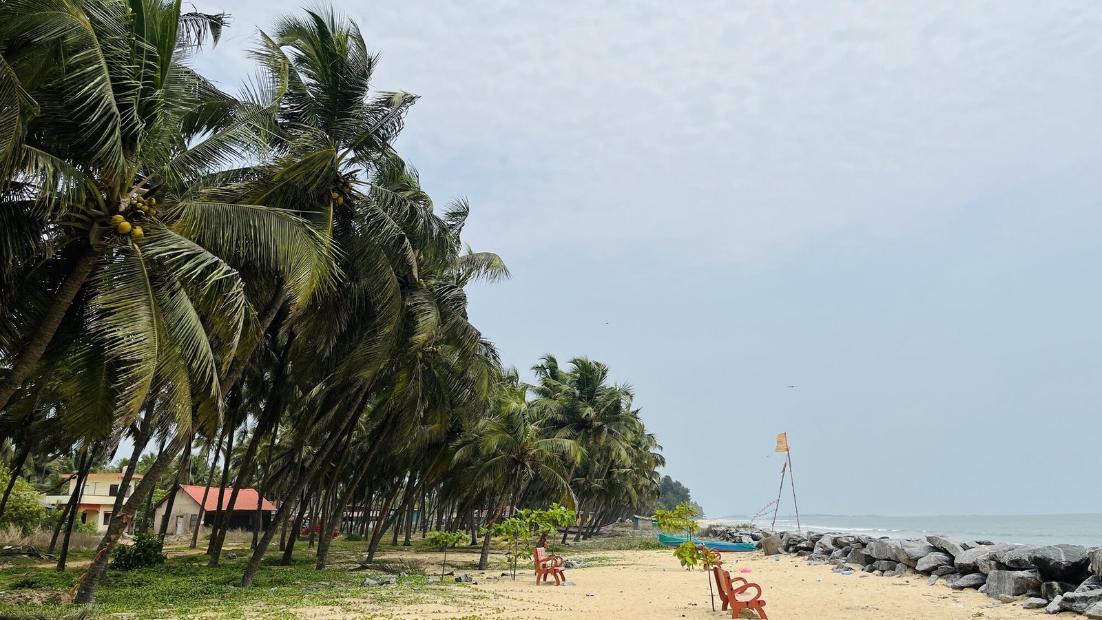 Palm-lined path along Malpe beach